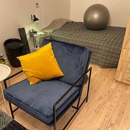 Luxury Scandanavian Style Flat Near *